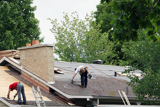 Best Roof Gutter Cleaning  in Chickamau, GA